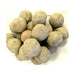 Puri PTL-102 28-inch natural gas tandoori oven, pile of round clay stones used inside the oven's burner area
