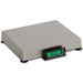 Detecto APS Series retail POS scale, stainless steel platform with attached green backlit LCD display, angled view