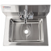 Phoenix WHS18 large wall mounted hand sink, top-down view of the stainless steel bowl and drain